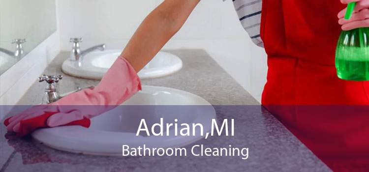 Adrian,MI Bathroom Cleaning