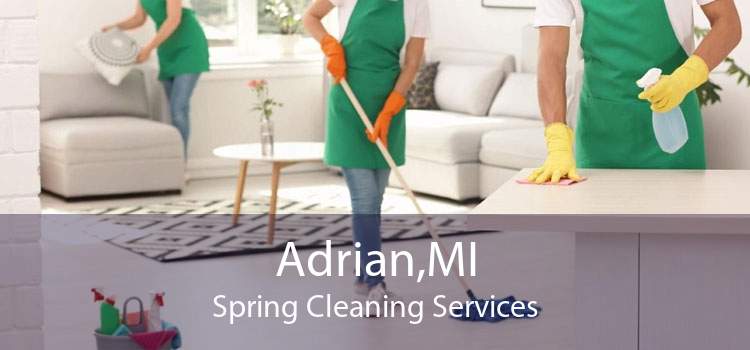 Adrian,MI Spring Cleaning Services