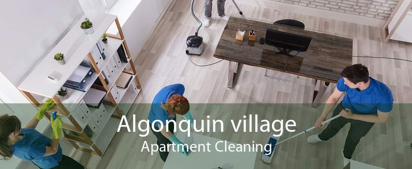 Algonquin village Apartment Cleaning