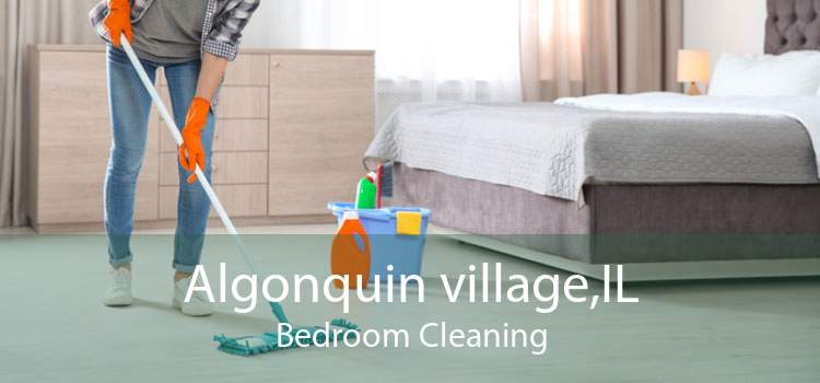 Algonquin village,IL Bedroom Cleaning