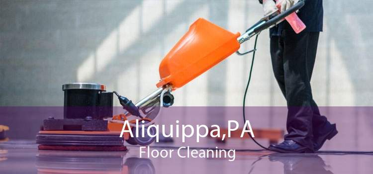 Aliquippa,PA Floor Cleaning