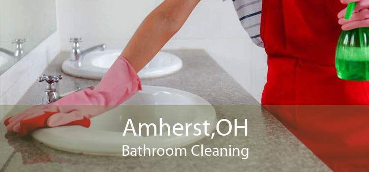 Amherst,OH Bathroom Cleaning