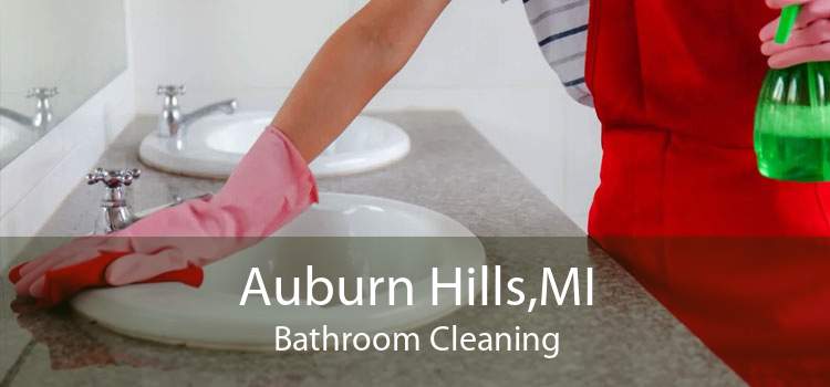 Auburn Hills,MI Bathroom Cleaning