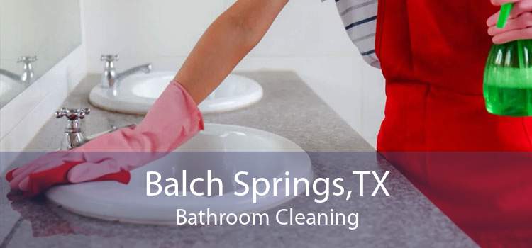 Balch Springs,TX Bathroom Cleaning