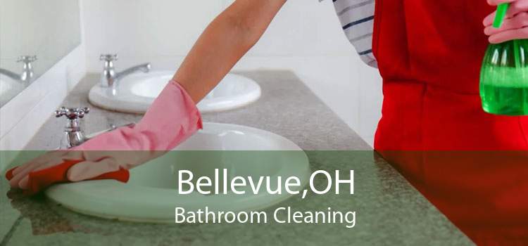 Bellevue,OH Bathroom Cleaning