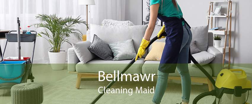 Bellmawr Cleaning Maid