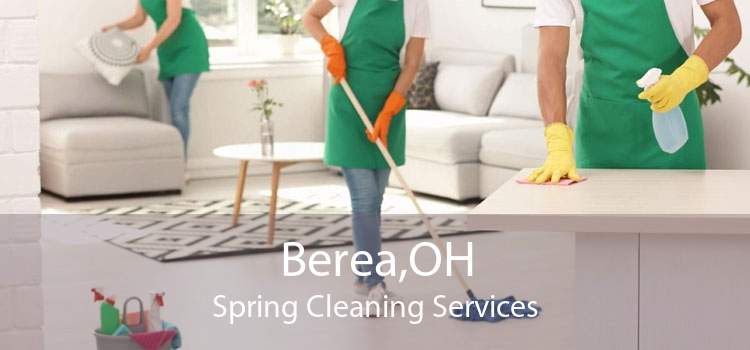 Berea,OH Spring Cleaning Services