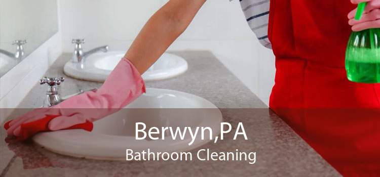Berwyn,PA Bathroom Cleaning