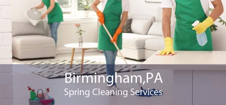 Birmingham,PA Spring Cleaning Services