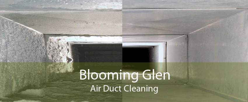 Blooming Glen Air Duct Cleaning
