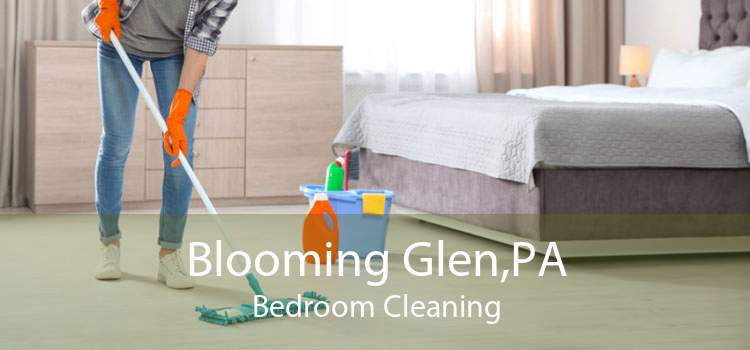 Blooming Glen,PA Bedroom Cleaning