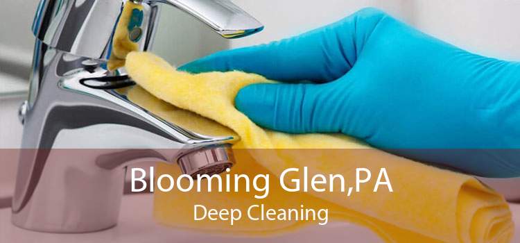 Blooming Glen,PA Deep Cleaning