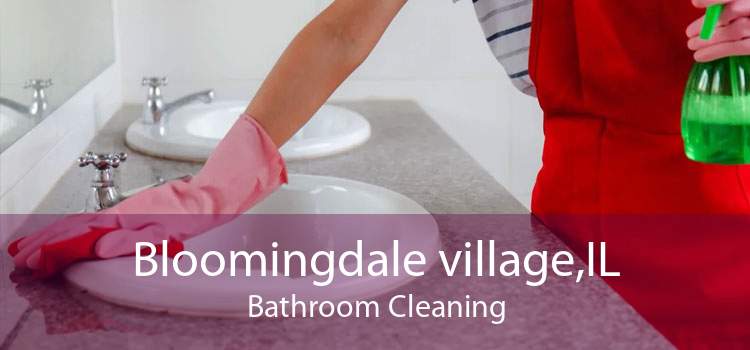 Bloomingdale village,IL Bathroom Cleaning