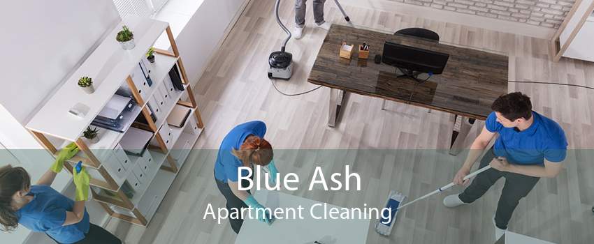 Blue Ash Apartment Cleaning