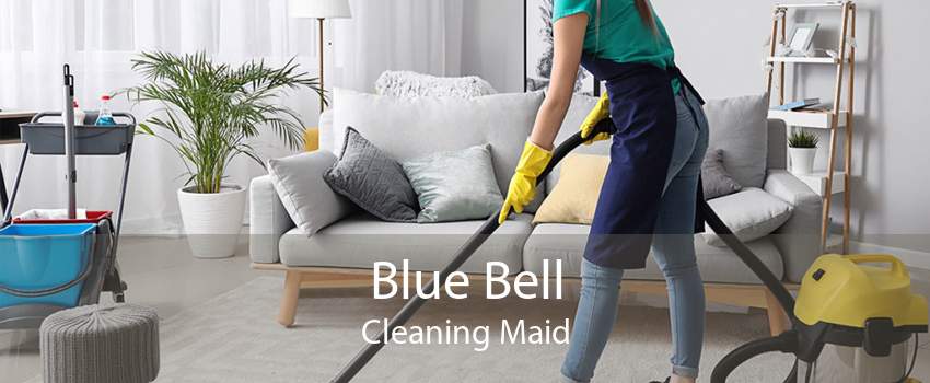Blue Bell Cleaning Maid