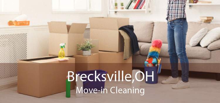 Brecksville,OH Move-in Cleaning