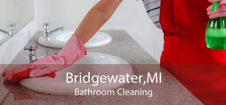Bridgewater,MI Bathroom Cleaning