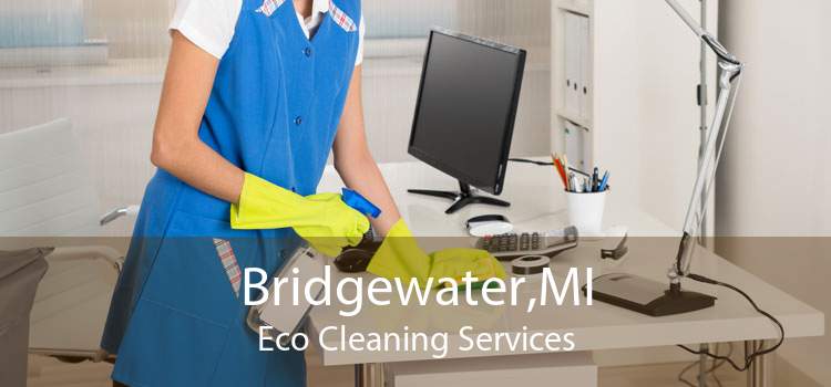 Bridgewater,MI Eco Cleaning Services