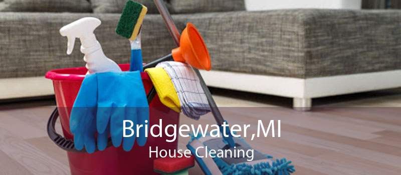 Bridgewater,MI House Cleaning