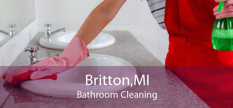 Britton,MI Bathroom Cleaning
