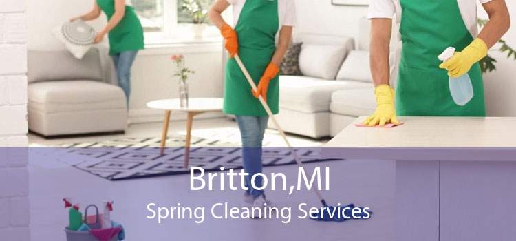 Britton,MI Spring Cleaning Services