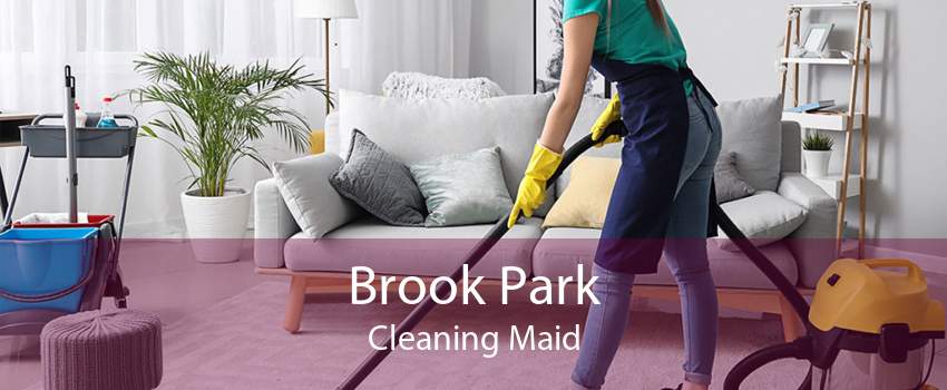 Brook Park Cleaning Maid