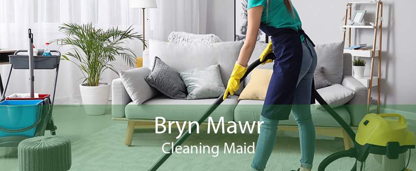Bryn Mawr Cleaning Maid