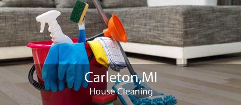Carleton,MI House Cleaning