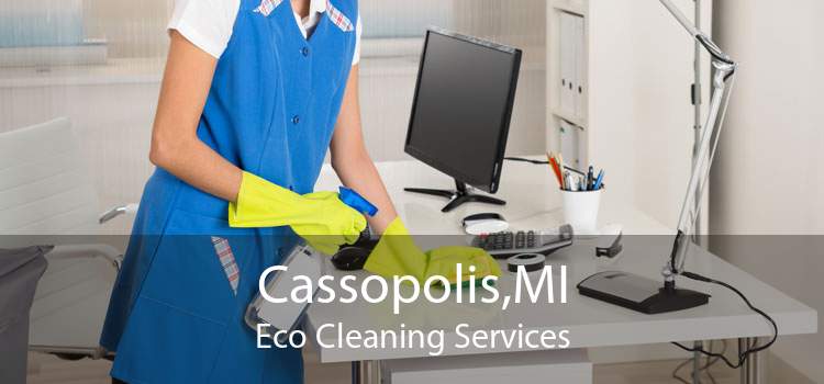 Cassopolis,MI Eco Cleaning Services