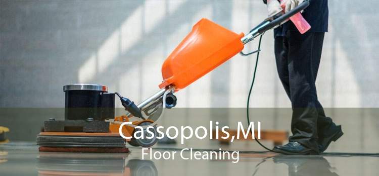 Cassopolis,MI Floor Cleaning