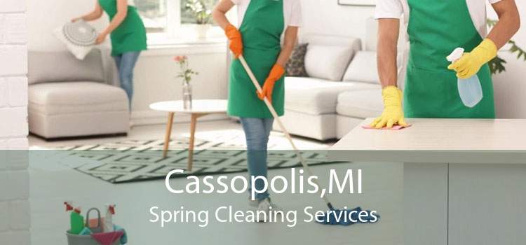 Cassopolis,MI Spring Cleaning Services