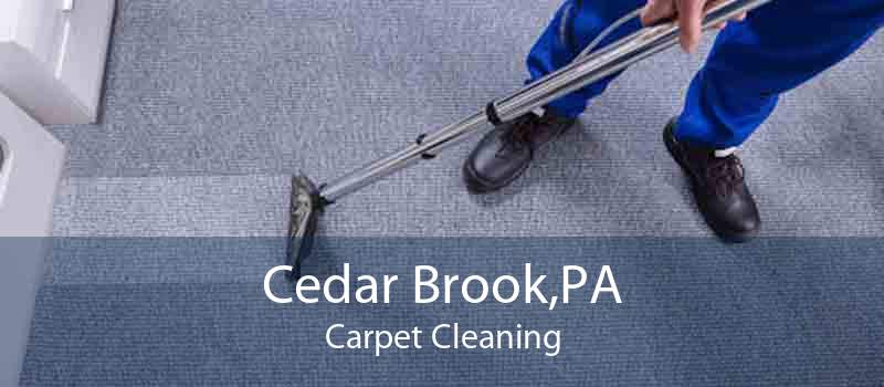 Cedar Brook,PA Carpet Cleaning