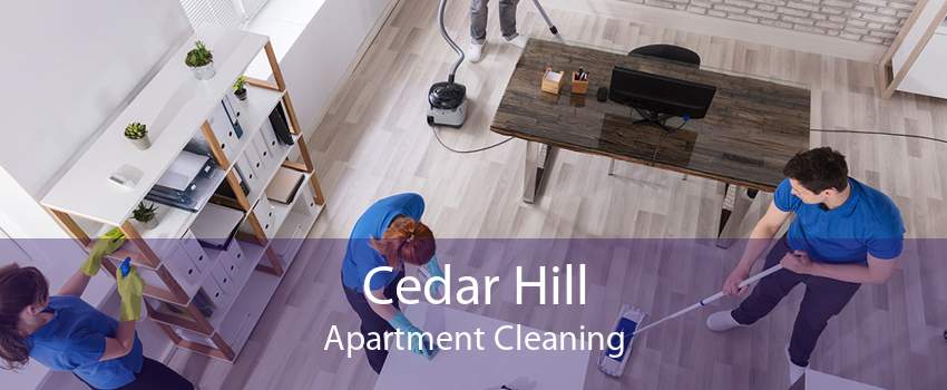 Cedar Hill Apartment Cleaning