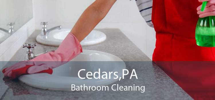 Cedars,PA Bathroom Cleaning