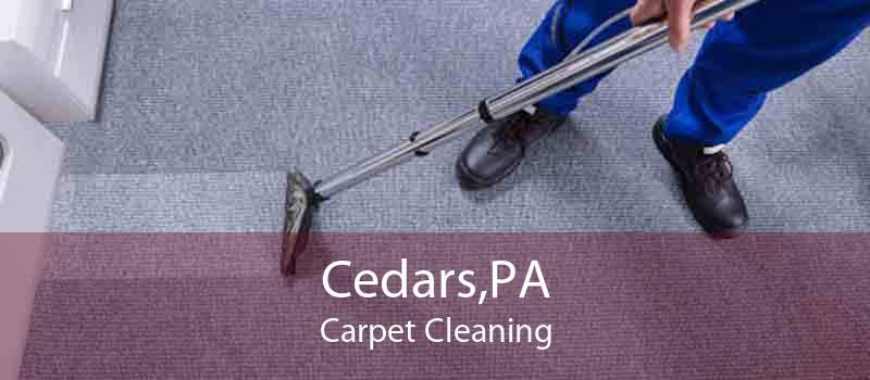 Cedars,PA Carpet Cleaning