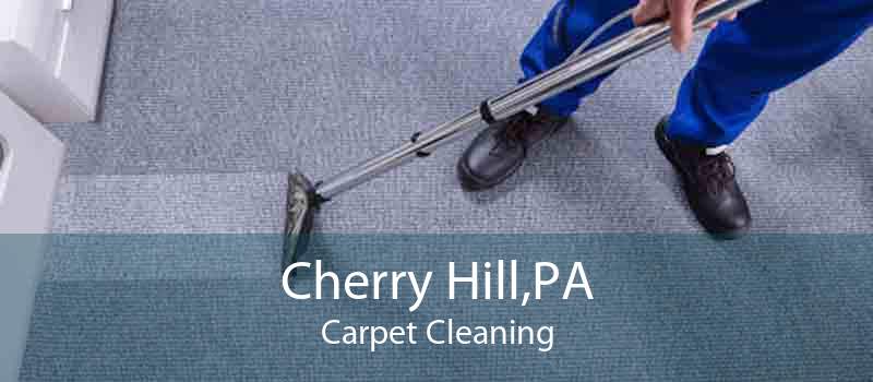 Cherry Hill,PA Carpet Cleaning