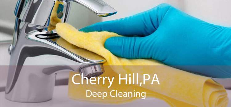 Cherry Hill,PA Deep Cleaning