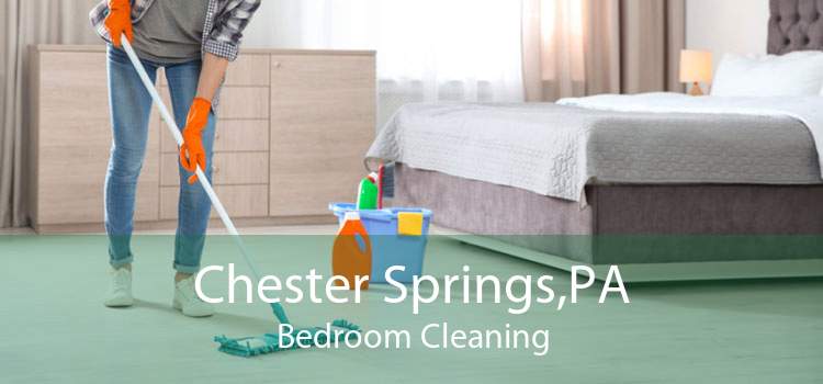 Chester Springs,PA Bedroom Cleaning