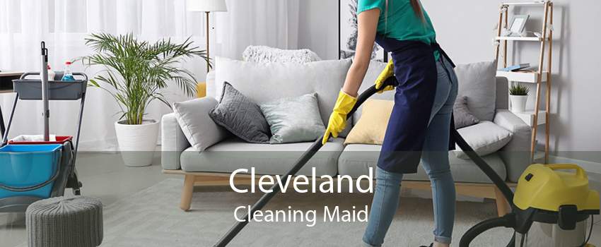Cleveland Cleaning Maid