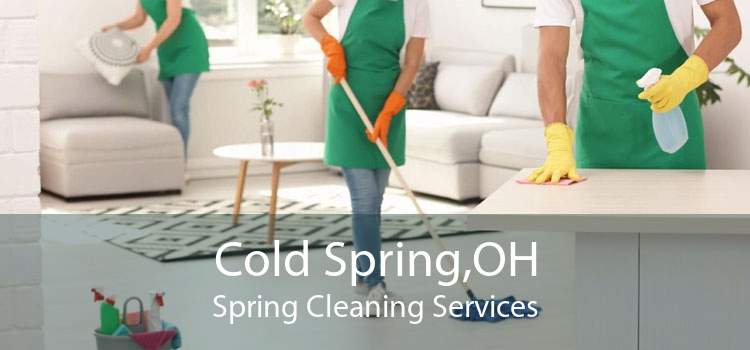 Cold Spring,OH Spring Cleaning Services
