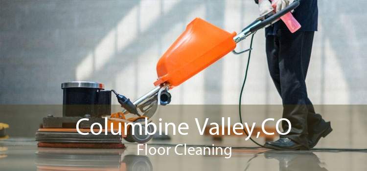 Columbine Valley,CO Floor Cleaning