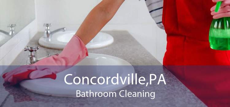 Concordville,PA Bathroom Cleaning