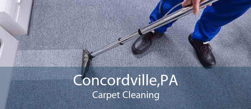 Concordville,PA Carpet Cleaning