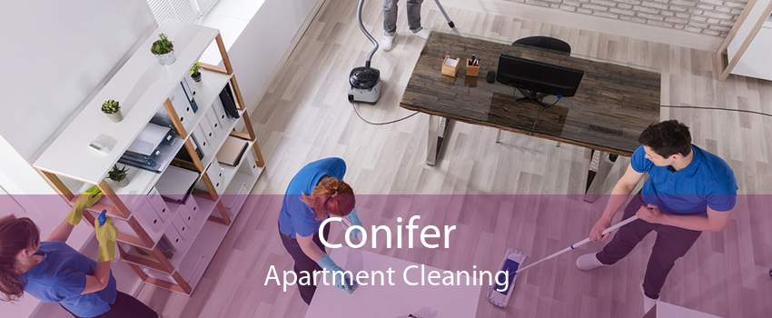 Conifer Apartment Cleaning