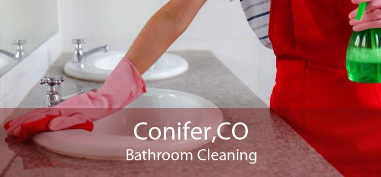 Conifer,CO Bathroom Cleaning