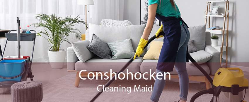 Conshohocken Cleaning Maid