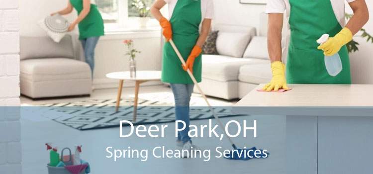 Deer Park,OH Spring Cleaning Services