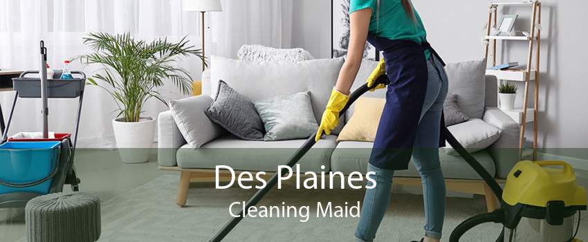 Des Plaines Cleaning Maid
