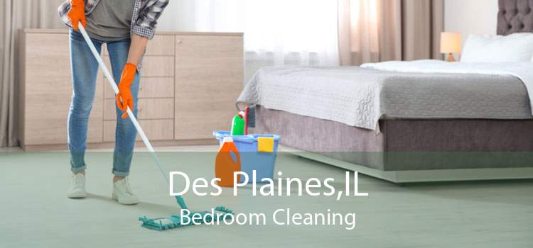 Des Plaines,IL Bedroom Cleaning