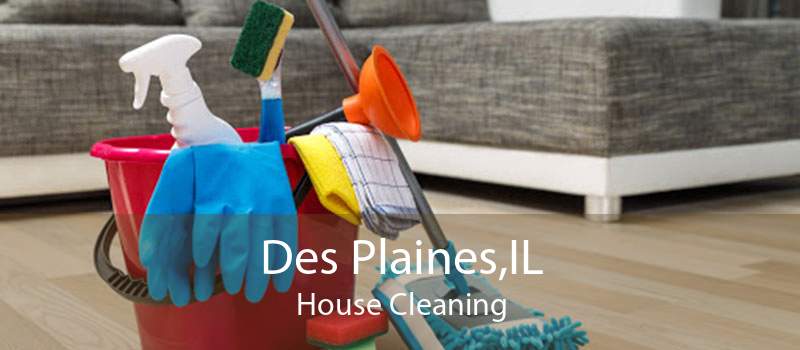 Des Plaines,IL House Cleaning